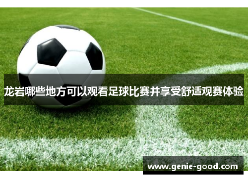 龙岩哪些地方可以观看足球比赛并享受舒适观赛体验